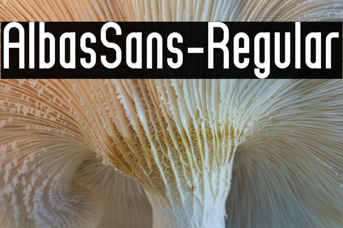 AlbasSans-Regular Example 2