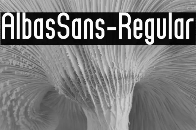 AlbasSans-Regular Font examples