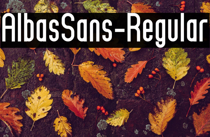 AlbasSans-Regular Example 3
