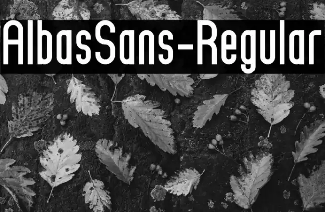 AlbasSans-Regular Font examples