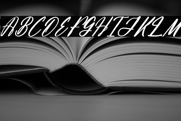 Albathros Yashline DEMO VERSION Italic Example 3