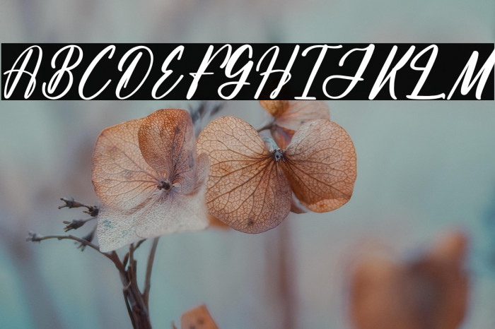 Albathros Yashline DEMO VERSION Example 2