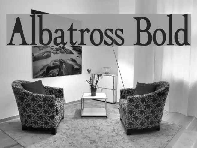 Albatross Bold Font examples