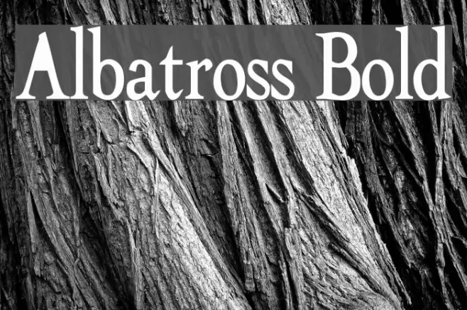 Albatross Bold Font examples