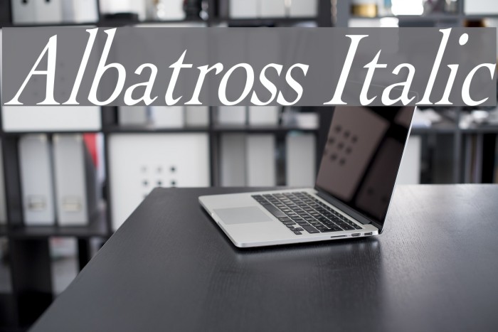 Albatross Italic Font examples