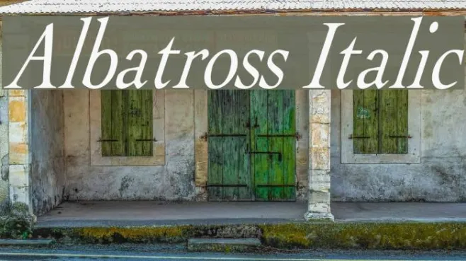 Albatross Italic Example 2