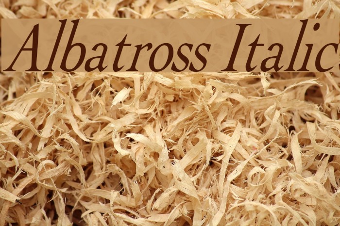 Albatross Italic Font examples