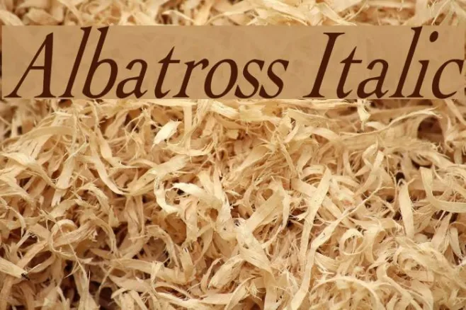 Albatross Italic Example 3