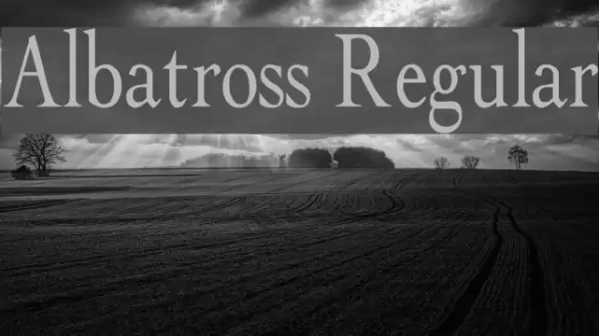 Albatross Regular Font examples