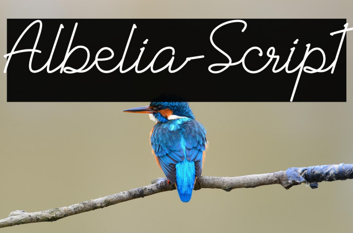 Albelia-Script Example 3