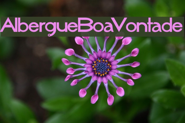 AlbergueBoaVontade Font examples