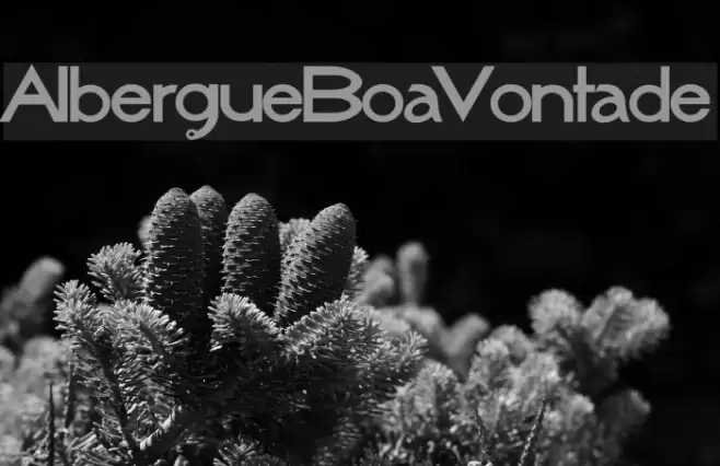 AlbergueBoaVontade Font examples