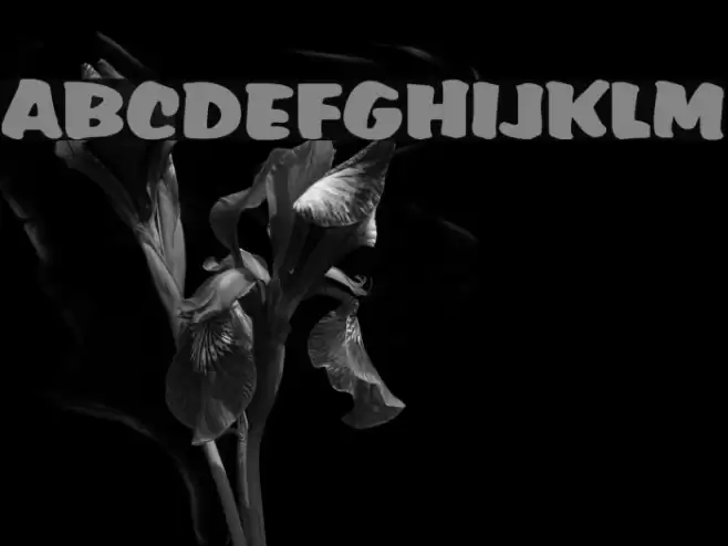 Albert Regular Font examples