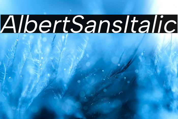 Albert Sans Italic Example 1