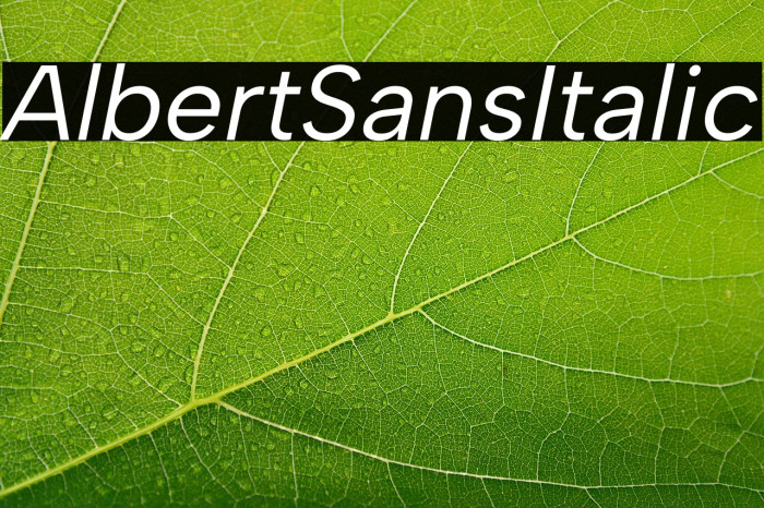 Albert Sans Italic Example 2