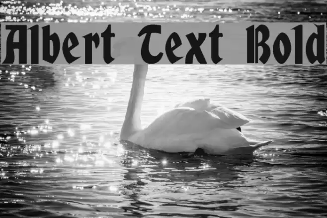 Albert Text Bold Font examples