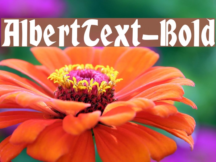 AlbertText-Bold Font examples