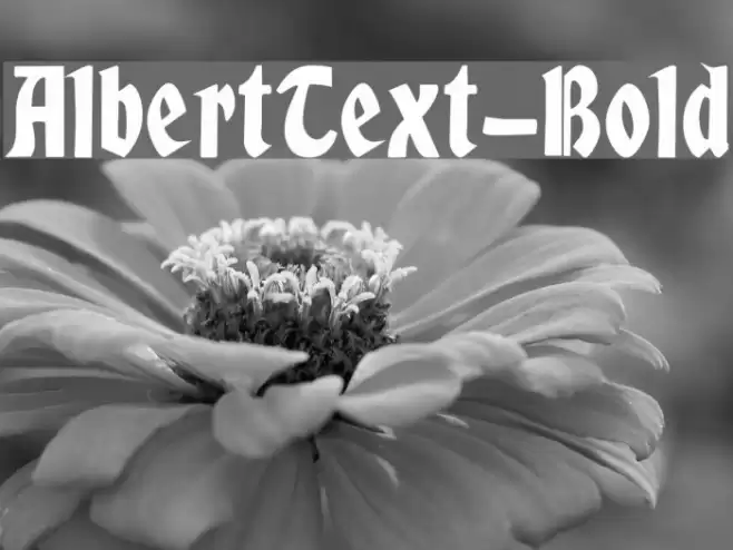 AlbertText-Bold Fonte examples