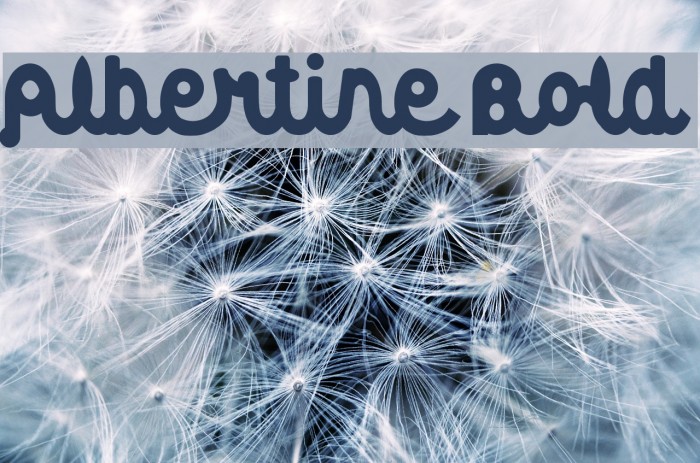 Albertine Bold Font examples