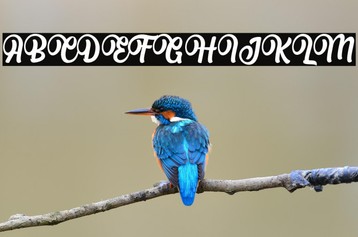 Albertini Regular Example 2