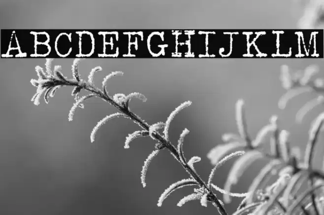 Albertsthal Typewriter Font examples