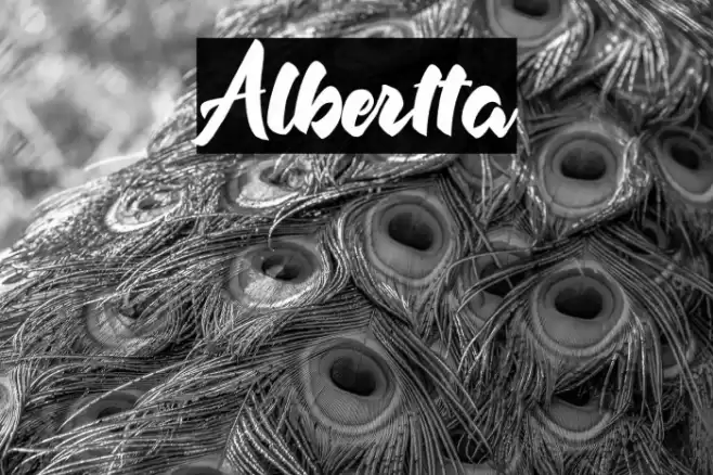 Albertta Font examples