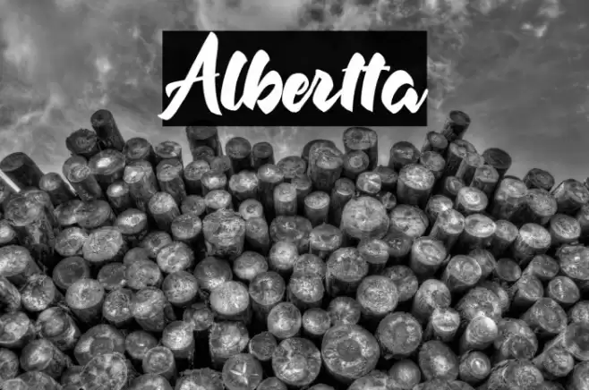 Albertta Font examples
