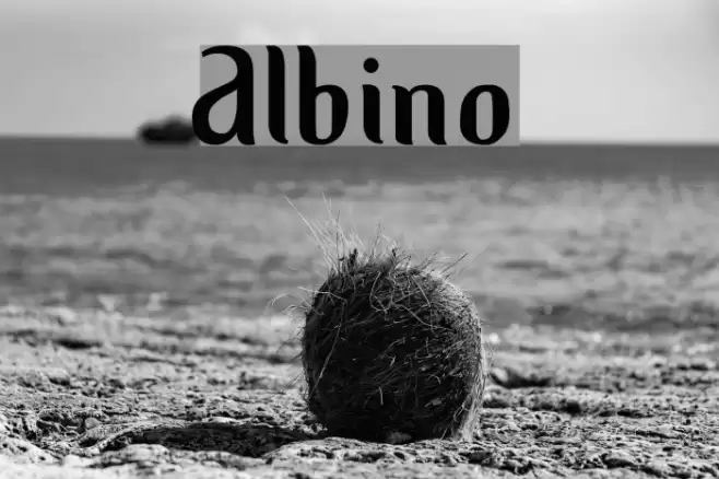 Albino Font examples