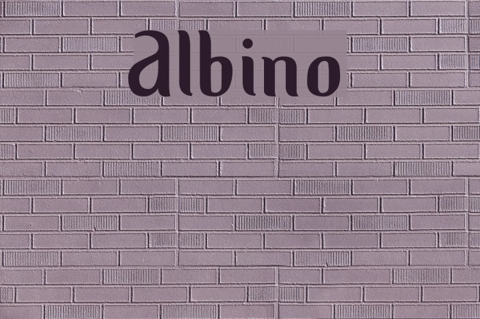 Albino Font examples