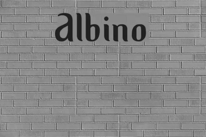 Albino Font examples