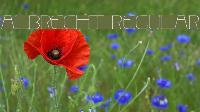 Albrecht Regular Example 2