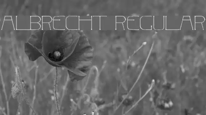 Albrecht Regular Font examples