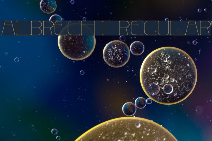 Albrecht Regular Example 3