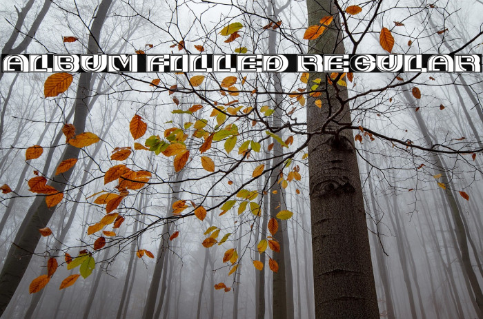 Album Filled Regular Example 1