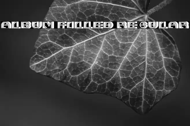 Album Filled Regular Font examples