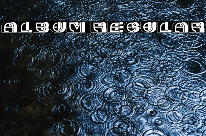 Album Regular Example 2