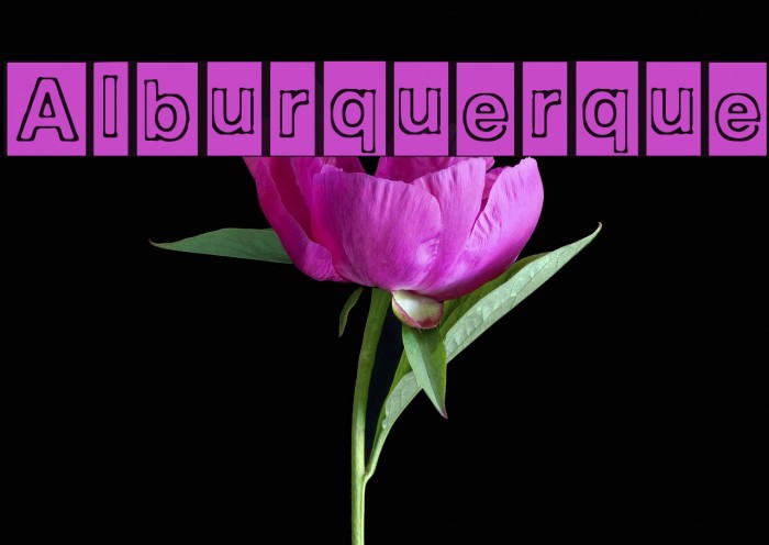Alburquerque Font examples