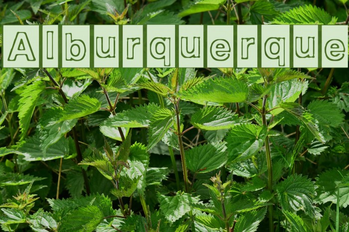 Alburquerque Font examples