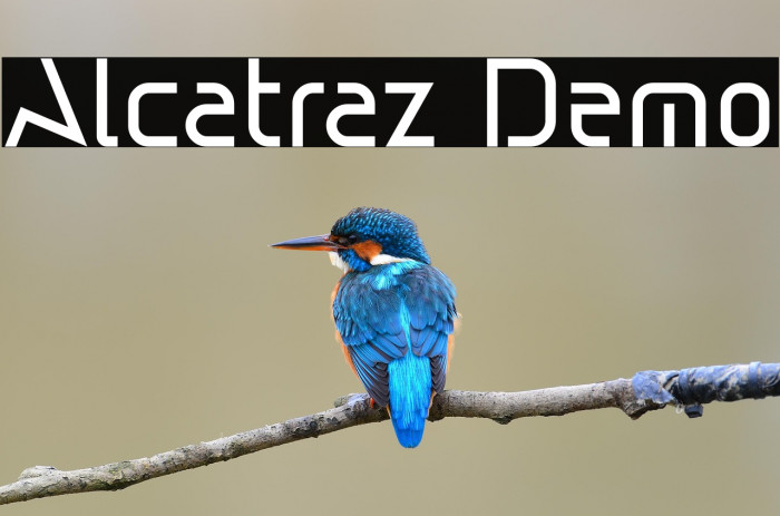 Alcatraz Demo Example 2