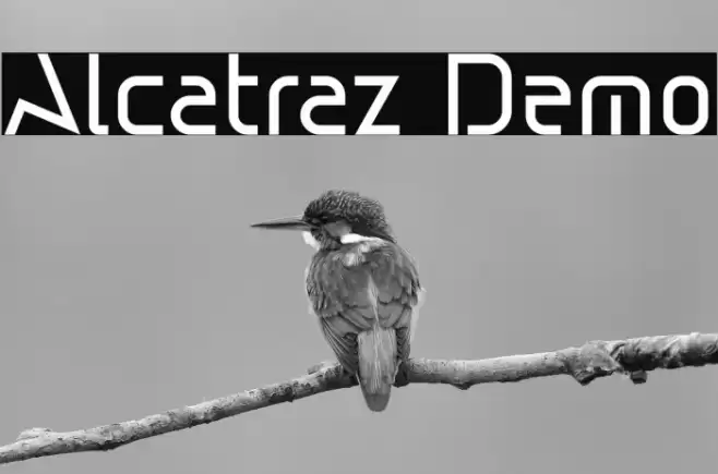 Alcatraz Demo Font examples