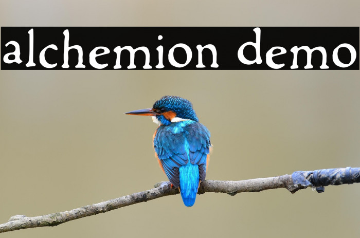 Alchemion Demo Example 3