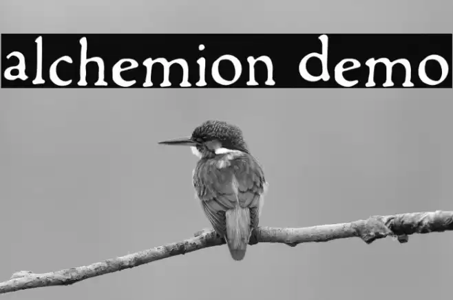 Alchemion Demo Font examples