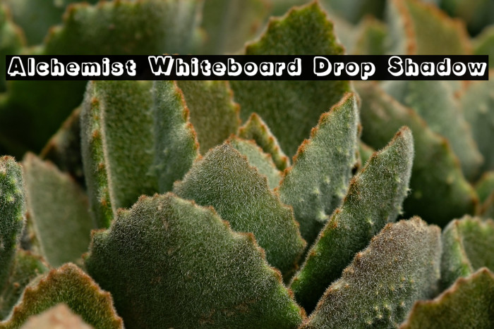 Alchemist Whiteboard Drop Shadow Example 2