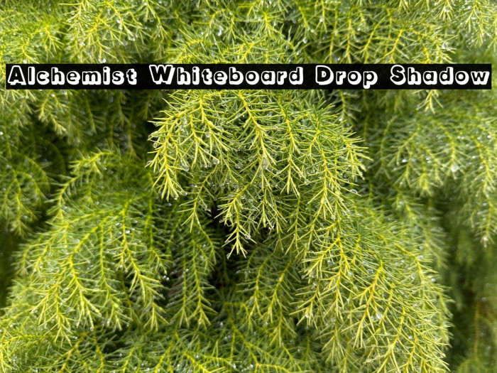 Alchemist Whiteboard Drop Shadow Example 3