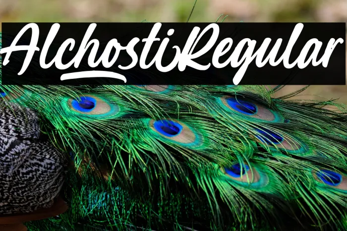 Alchosti Regular Example 2