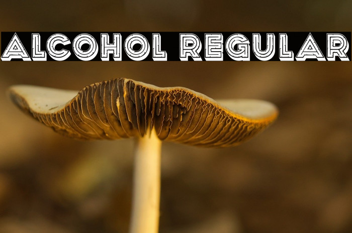 Alcohol Regular Example 1