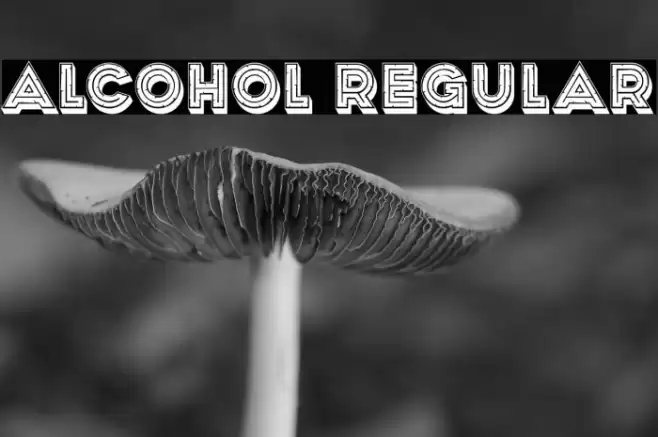 Alcohol Regular Font examples