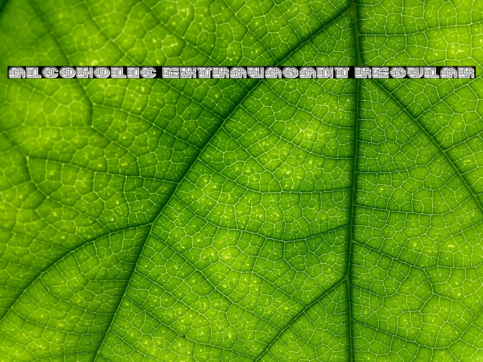 Alcoholic Extravagant Regular Example 1