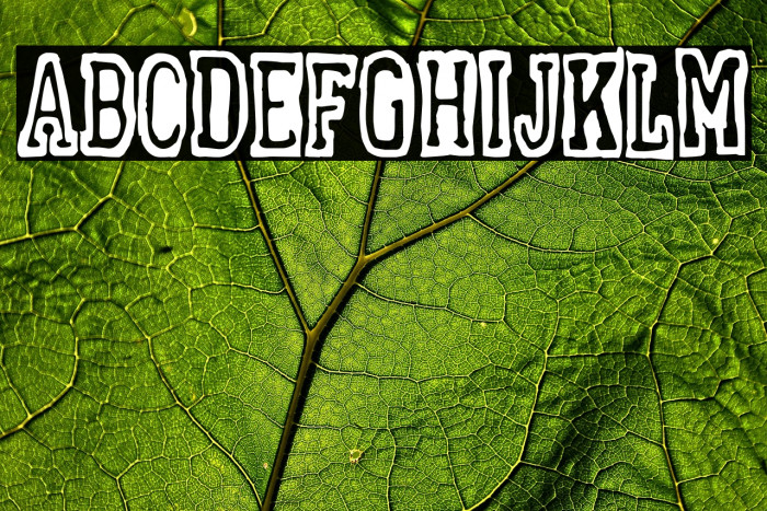 Alcoholics Anonymous Example 1