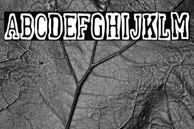 Alcoholics Anonymous Polices examples